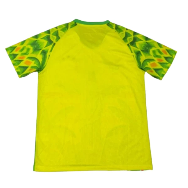 Maillot De Foot Brésil 2025 Blanc - Spécial