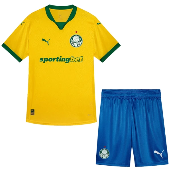 Kit De Football Palmeiras Enfant Third 25/26