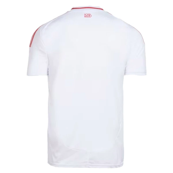 Maillot De Foot Internacional Extérieur 25/26