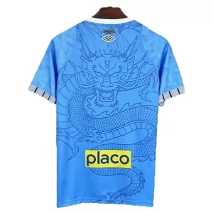 Maillot De Foot Santos FC 25/26 Dragon Bleu