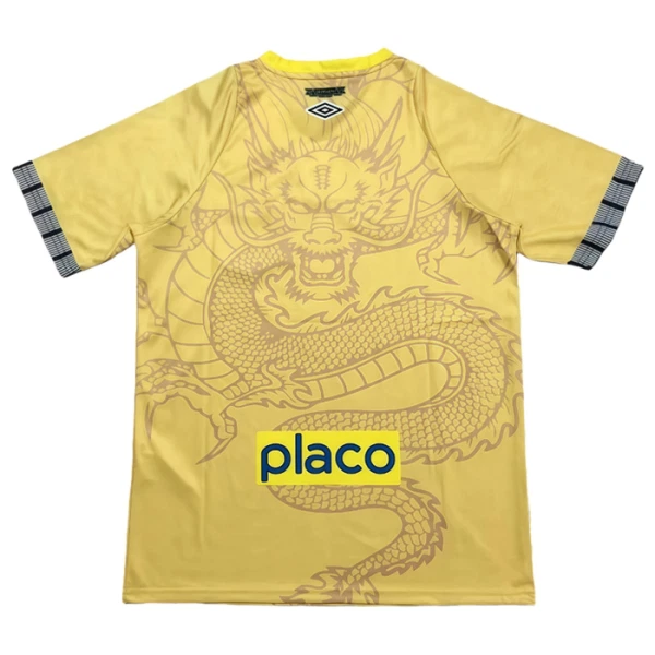Maillot De Foot Santos FC 25/26 Dragon Jaune