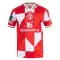 Maillot De Foot FSV Mainz 05 25/26 - Spécial