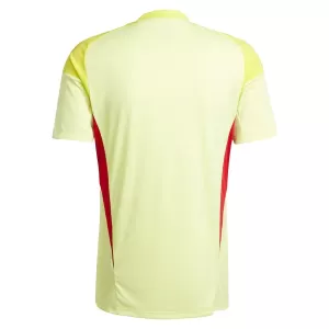 Maillot De Foot Gardien Aston Villa 25/26 Jaune
