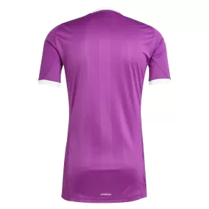 Maillot De Foot Gardien Aston Villa 25/26 Violet