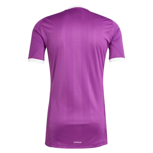 Maillot De Foot Gardien Aston Villa 25/26 Violet