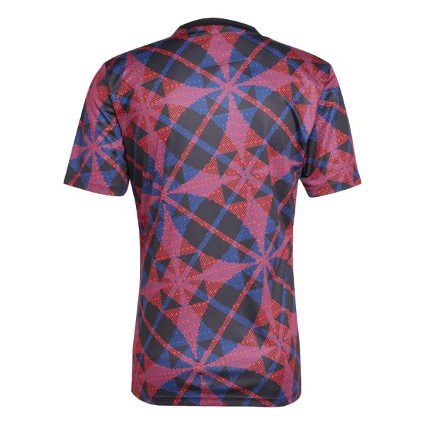 Maillot De Foot Olympique Lyonnais Pre-Match 25/26