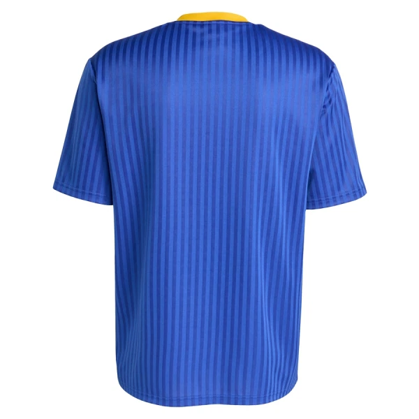 Maillot De Foot Boca Juniors Terrace Icons 25/26