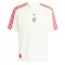Maillot De Foot River Plate Terrace Icons 25/26