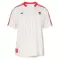 Maillot De Foot SL Benfica Terrace Icons 25/26