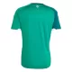 Maillot De Foot Irlande du Nord Domicile Coupe du Monde 2026