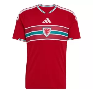Maillot De Foot Pays de Galles Domicile Coupe du Monde 2026