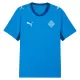 Maillot De Foot Islande Domicile Coupe du Monde 2026