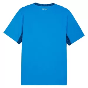 Maillot De Foot Islande Domicile Coupe du Monde 2026