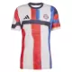 Maillot De Foot FC Bayern Munich Pre-Match 25/26