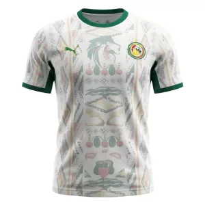 Maillot De Foot Sénégal Domicile Coupe du Monde 2026