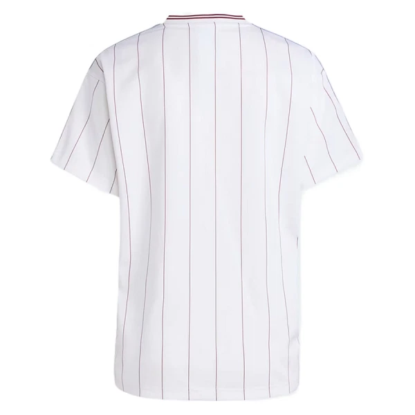 Maillot De Foot Aston Villa Terrace Icons 25/26