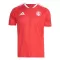 Maillot De Foot Internacional Domicile 26/27