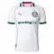 Maillot De Foot Palmeiras Extérieur 26/27