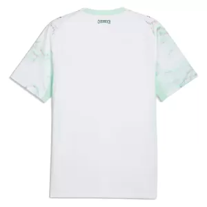 Maillot De Foot Autriche Extérieur Coupe du Monde 2026