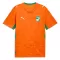 Maillot De Foot Côte d Ivoire Domicile Coupe du Monde 2026