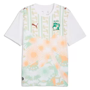 Maillot De Foot Côte d Ivoire Extérieur Coupe du Monde 2026