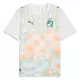 Maillot De Foot Côte d Ivoire Extérieur Coupe du Monde 2026