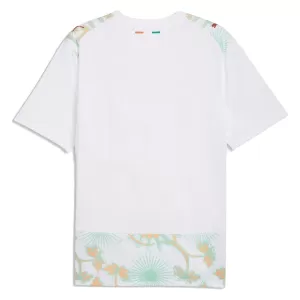 Maillot De Foot Côte d Ivoire Extérieur Coupe du Monde 2026