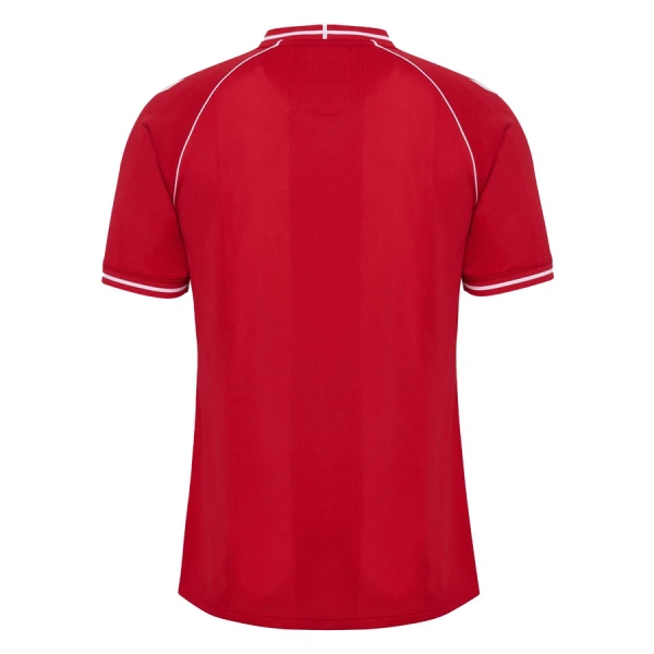Maillot De Foot Danemark Domicile Coupe du Monde 2026