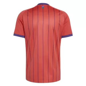 Maillot De Foot Écosse Extérieur Coupe du Monde 2026