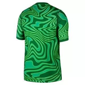 Maillot De Foot Gardien Brésil Domicile Coupe du Monde 2026 Vert