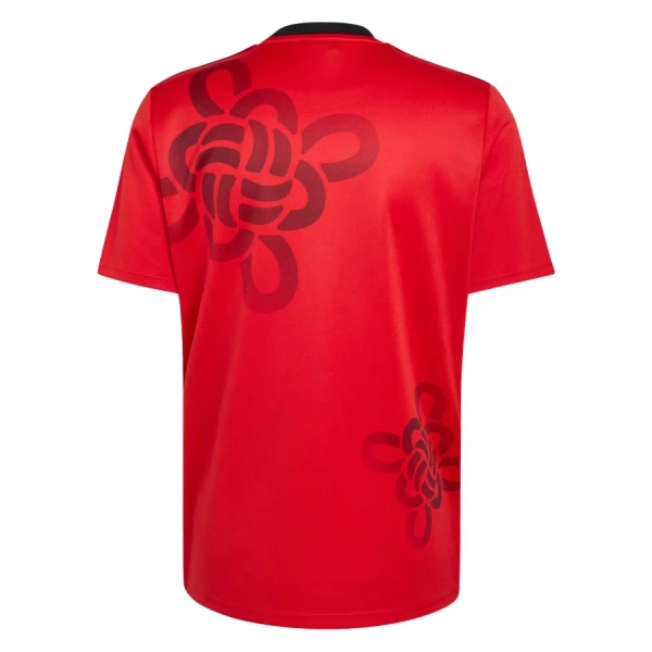 Maillot De Foot Manchester United Cultural Story 25/26 - Spécial