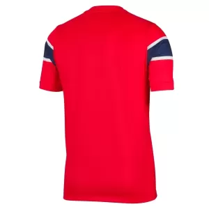 Maillot De Foot Norvège Domicile Coupe du Monde 2026