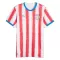 Maillot De Foot Paraguay Domicile Coupe du Monde 2026