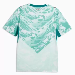 Maillot De Foot Portugal Extérieur Coupe du Monde 2026