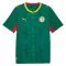 Maillot De Foot Sénégal Extérieur Coupe du Monde 2026