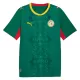 Maillot De Foot Sénégal Extérieur Coupe du Monde 2026