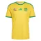 Maillot De Foot Sud Africain Domicile Coupe du Monde 2026