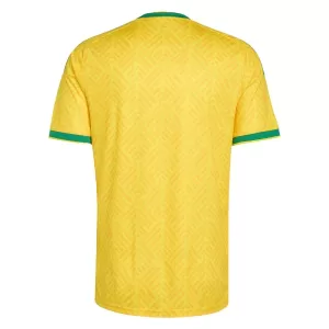 Maillot De Foot Sud Africain Domicile Coupe du Monde 2026