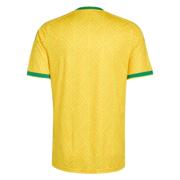 Maillot De Foot Sud Africain Domicile Coupe du Monde 2026