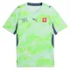 Maillot De Foot Suisse Extérieur Coupe du Monde 2026