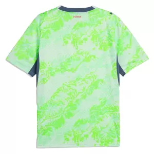 Maillot De Foot Suisse Extérieur Coupe du Monde 2026