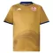 Maillot De Foot Tunisie Third Coupe du Monde 2026