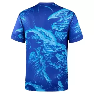 Maillot De Foot Gardien Angleterre Domicile Coupe du Monde 2026 Bleu