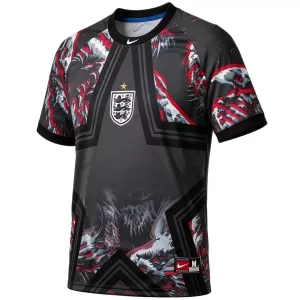 Maillot De Foot Gardien Angleterre Lifestyle Coupe du Monde 2026 Noir