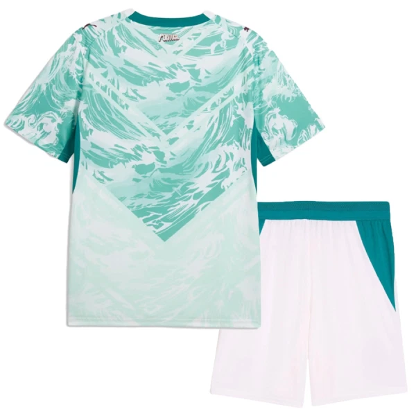 Maillot De Foot Portugal Extérieur Coupe du Monde 2026