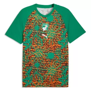 Maillot De Foot Côte d Ivoire Pre-Match Coupe du Monde 2026