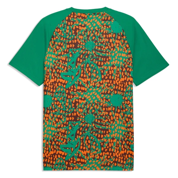 Maillot De Foot Côte d Ivoire Pre-Match Coupe du Monde 2026