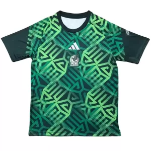 Maillot De Foot Mexique Pre-Match Coupe du Monde 2026
