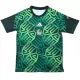 Maillot De Foot Mexique Pre-Match Coupe du Monde 2026