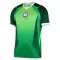 Maillot De Foot Nigéria Domicile 26/27